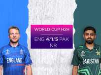 和谐的嘉年 和谐的嘉年